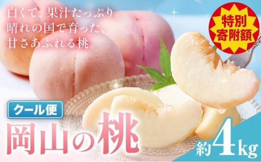 【特別な寄付額】旬の味わい！みずみずしい上品な白桃🍑