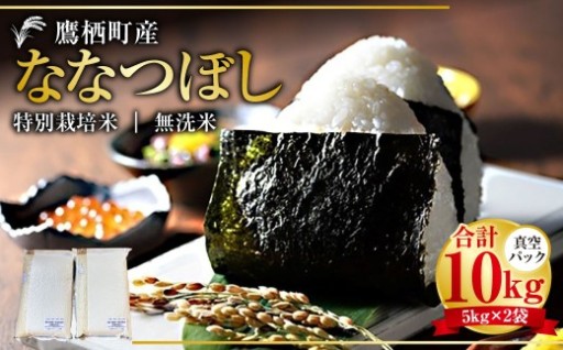 【令和7年産】 ななつぼし （無洗米） 真空パック 5kg×2袋 10kg