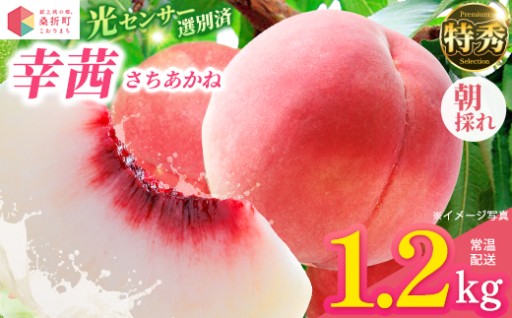 【献上桃の郷】幸茜 特秀 約1.2kg