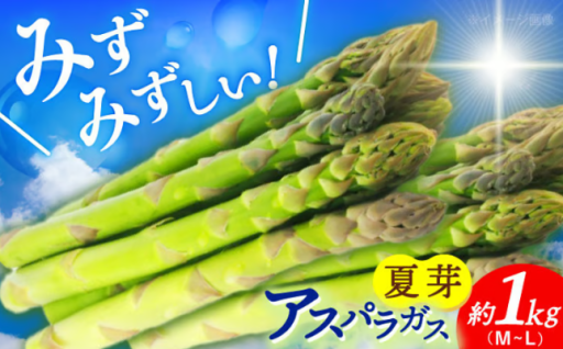 夏は小値賀のアスパラ！