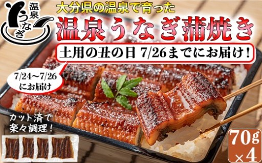 まだ間に合う!土用の丑までにお届け うなぎ蒲焼