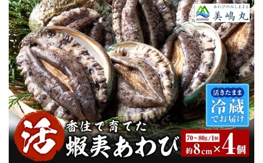 📺満点青空レストランで紹介！香住育ちの極上アワビ✨