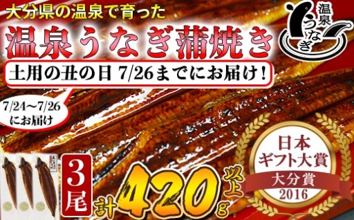 まだ間に合う!土用の丑までにお届けうなぎ蒲焼3尾