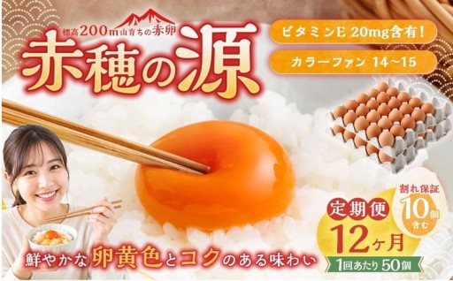 【12ヶ月定期便】 赤穂の源 50個 （40個+割れ保証10個）（25×2パック）