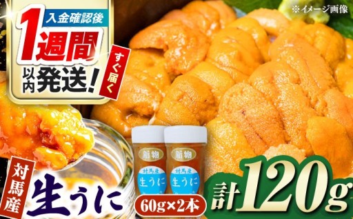  対馬の海の恵み！生うに60g×2