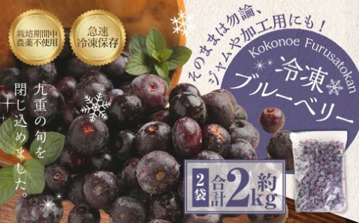 九重町産 冷凍 ブルーベリー 約2kg (1kg×2袋) 