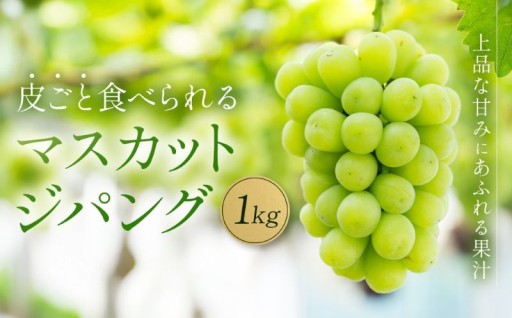 【先行予約】マスカットジパング 1kg