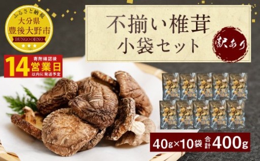 【14営業日以内発送】原木椎茸 不揃い 椎茸 10袋セット