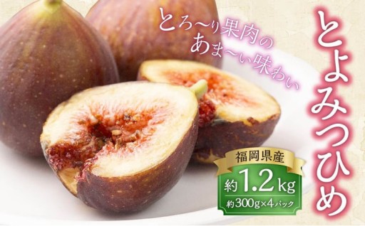 福岡県産 無花果・とよみつひめ 約300g×4パック