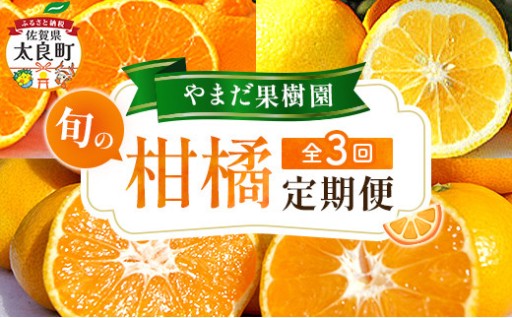 【3回定期便】やまだ果樹園の柑橘定期便