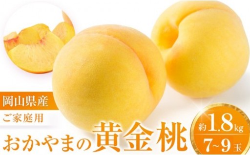 【先行受付】数量限定 おかやまの黄金桃1.8kg (ご家庭用)