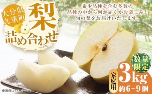 【 ご家庭用 】 九重町産 梨 詰め合わせ 約3kg （ 約6～9個 ）
