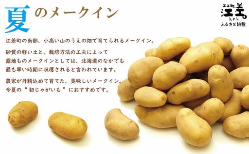 🌊北海道江差町産　夏のメークイン🥔