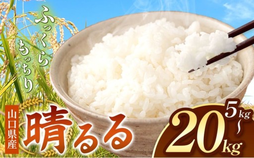 令和8年度産 新米晴るる 5～20kg 先行予約