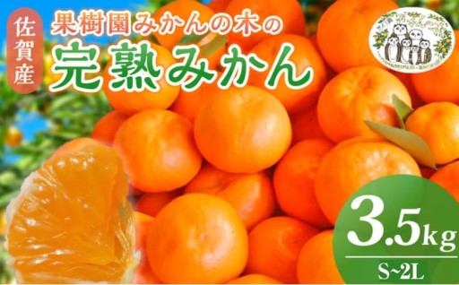 果樹園みかんの木の完熟みかん 3.5kg