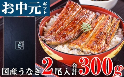 お中元・夏ギフト用に！国産うなぎ蒲焼き 大サイズ 2本