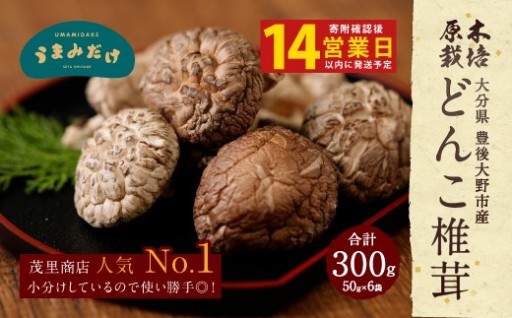 【14営業日以内発送】 原木椎茸 どんこ椎茸 小袋セット 300g（50g×6袋）