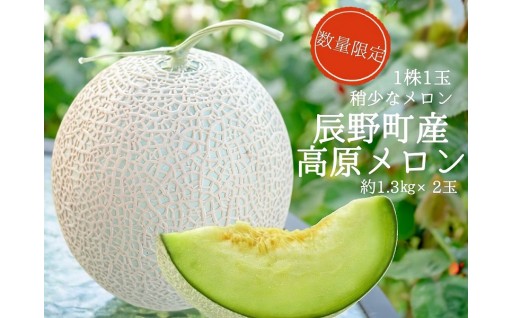 高原メロン 1株から1玉しかとれない稀少なメロン