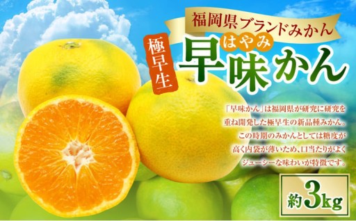 福岡県ブランドみかん「早味かん」3kg