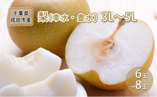 梨 幸水 豊水 3L～5L 6玉～8玉🍐