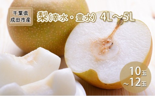 梨 幸水 豊水 4L～5L 10玉～12玉🍐