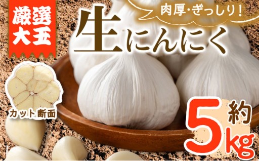 ＜先行予約！2027年5月上旬以降順次発送予定＞香川県産 厳選大玉生にんにく(約5kg)
