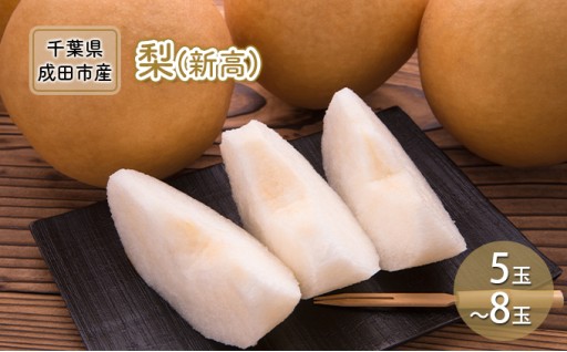 【先行予約】梨 新高 5～8玉🍐