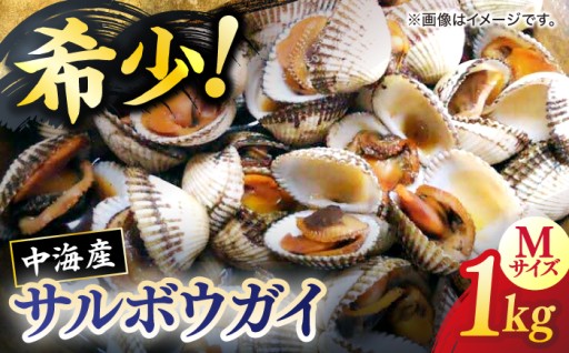 ＼先行予約／山陰冬の味覚！赤貝 サルボウガイ🐚