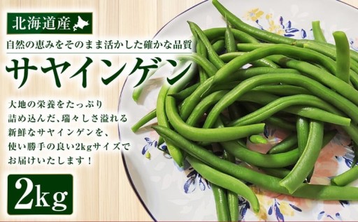 北海道産 サヤインゲン 2kg