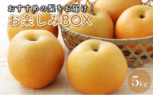 【先行予約】お楽しみBOX おすすめの梨をお届け
