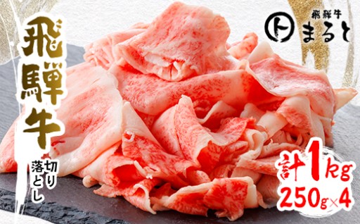 ＜飛騨牛＞切り落とし250g×4　合計1kg