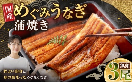 めぐみうなぎ 蒲焼き 3尾 セット