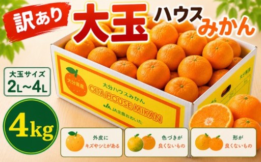 【訳あり・大玉】ハウスみかん約4kg（バラ詰め）