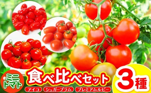 御杖村産 ミニトマト食べ比べセット(3種)