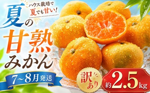 【訳あり】夏の甘熟ハウスみかん 約2.5kg