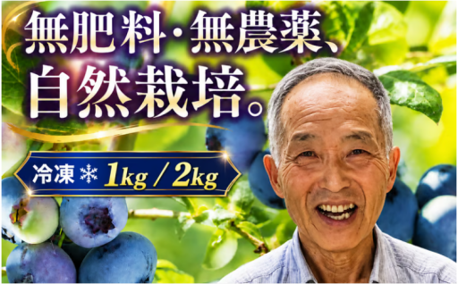 奇跡のブルーベリー「小さな青い宝石」