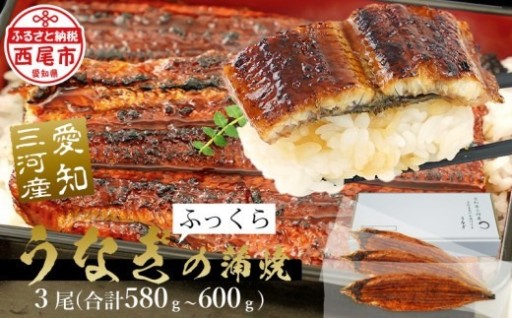 ✨土用の丑配送対応✨【土用の丑配送対応】【期間限定】三河産うなぎ 蒲焼 《超特大》×3尾（合計580～600ｇ）