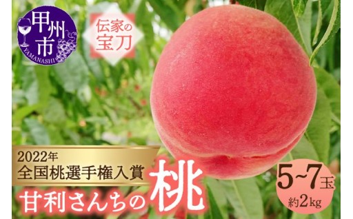 ～「こんなに甘くて美味しい桃は食べた事がない！」と評価される甘利さんちの桃を是非ご賞味ください！～