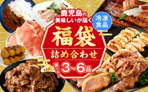  【お楽しみ福袋6種(A～D)】鹿児島の美味しいが届く！