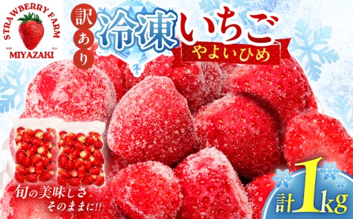 【宮崎県都農町】📢新登場📢都農町産『冷凍いちご🍓』計1kg✨