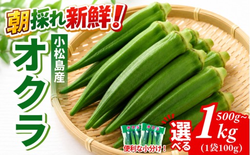 朝採れの新鮮なオクラをの農地直送でお届け！