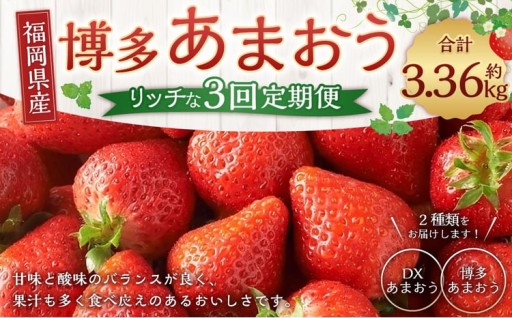 博多あまおうリッチな3回定期便