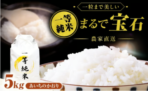 【選べる発送月】一等純米 あいちのかおり 5kg