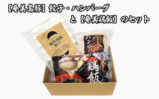 【奄美鶏飯】と【奄美島豚】餃子・ハンバーグのセット 