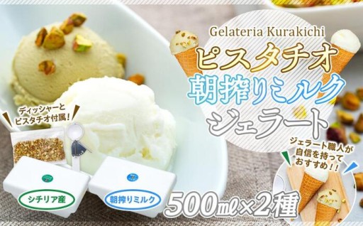 【数量限定】ジェラート 500ml×2種 食べ比べ シチリア産 ピスタチオ 朝搾りミルク