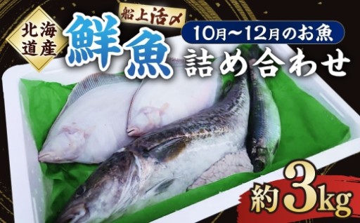 北海道産 船上活〆鮮魚詰め合わせ約3kg