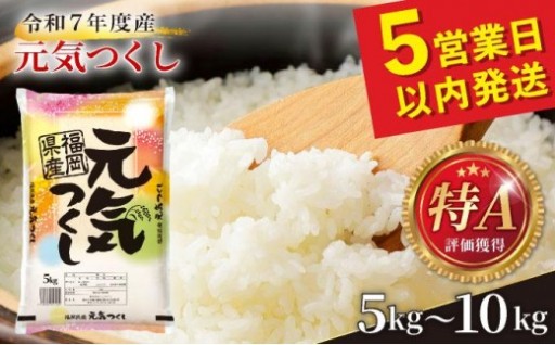 もっちりツヤツヤ。福岡県産『元気つくし』