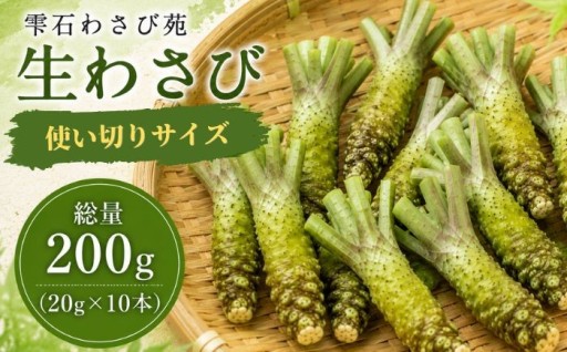 雫石のワサビがついに返礼品に！使い切りセットです