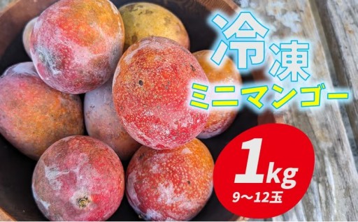 久米島赤鶏牧場 完熟！冷凍ミニマンゴー1kg（9～12玉） 