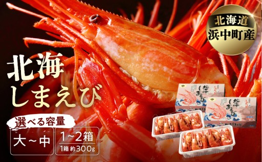 🦐海のルビー、ぷりっと濃厚。
